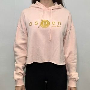 PINK PURE BARRE ASPEN HOODIE